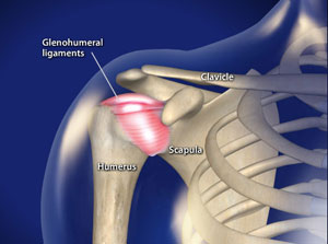 Acromioclavicular (AC) Joint Separations - Frisco, TX - Knee, Hip, Shoulder,  Joint Surgery